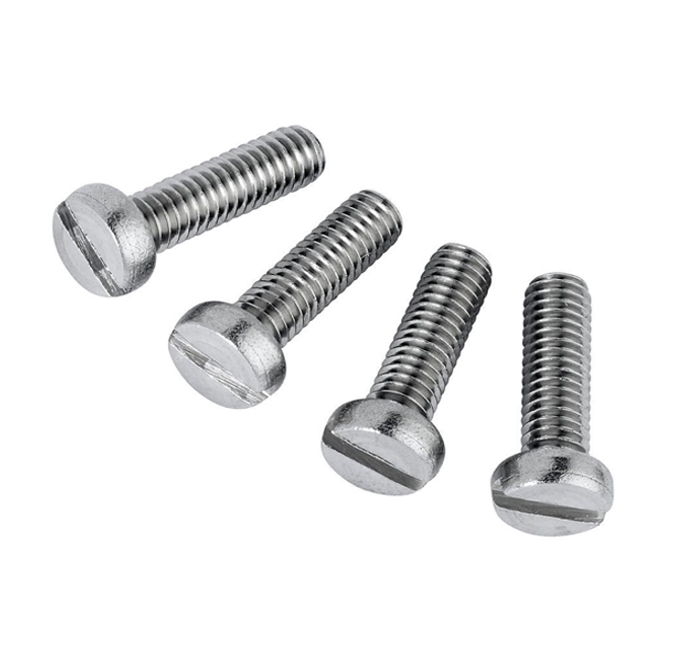 Cylindrical Slotted Screw