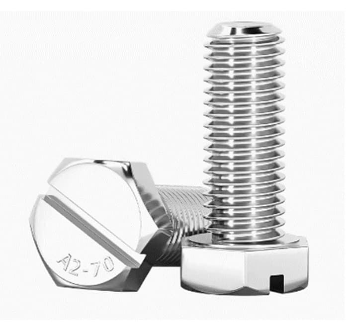 Hex Head Slotted Screw