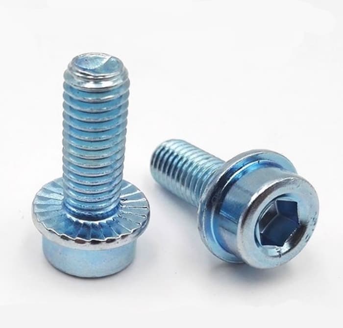 Hex Socket Flange Locking Screw