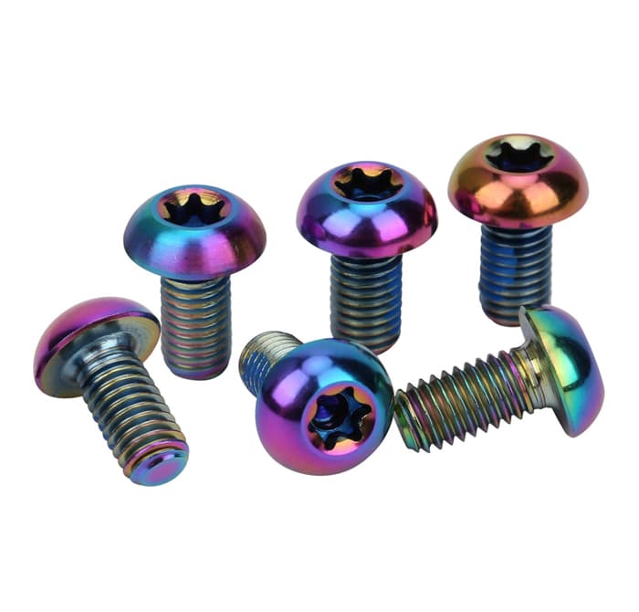 Button Head Torx Screw