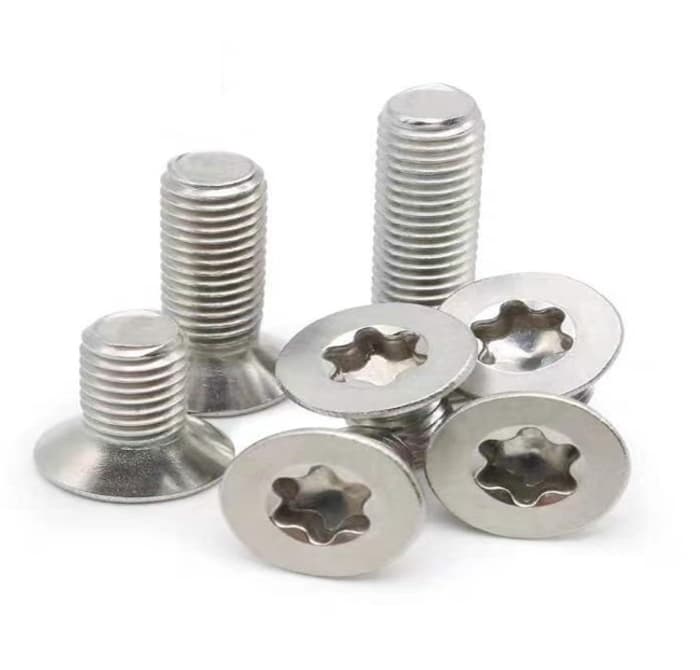 Countersunk Torx Screw